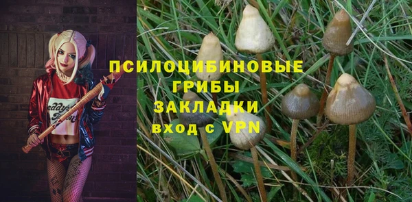 PSILOCYBIN Бугульма