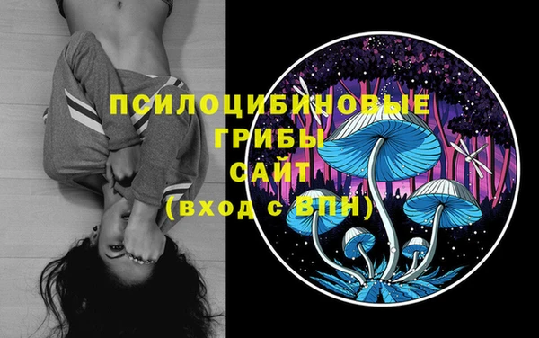 мяу мяу мука Переславль-Залесский