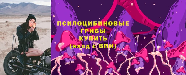 мяу мяу мука Переславль-Залесский
