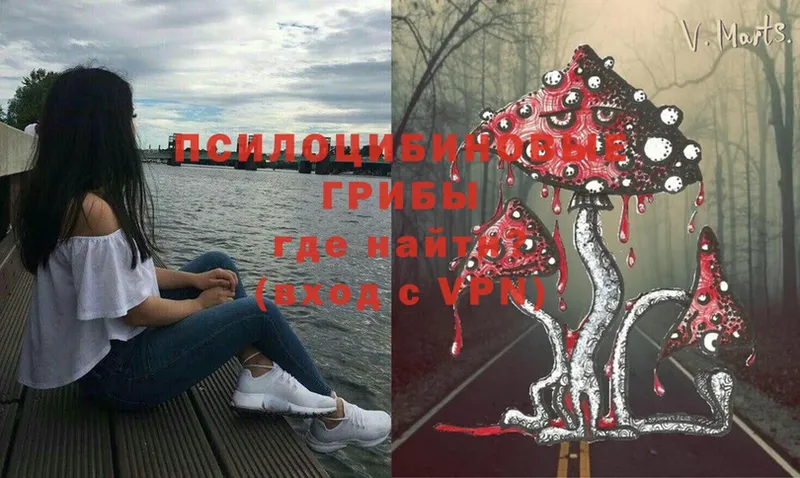 блэк спрут рабочий сайт  даркнет сайт  площадка официальный сайт  Галлюциногенные грибы GOLDEN TEACHER  Армянск 